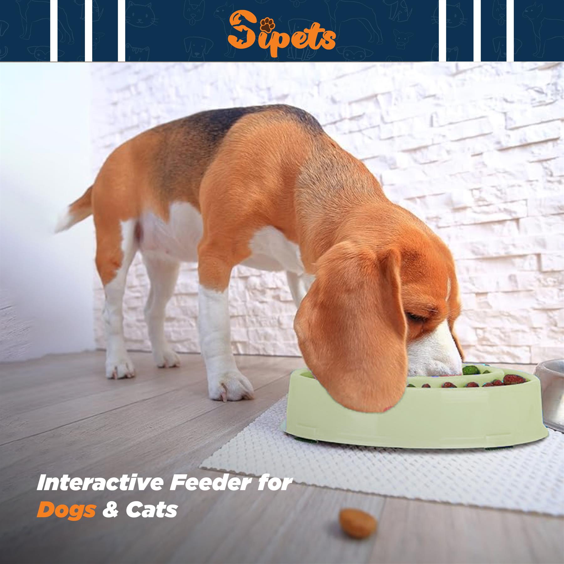 slow feeder dog bowl large pet anti bloat gulp interactive puppy cat feed dish