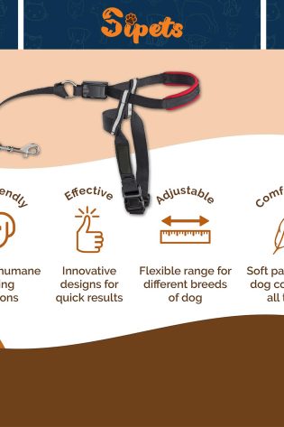 headcollar non pull dog head collar for training adjustable dog halter