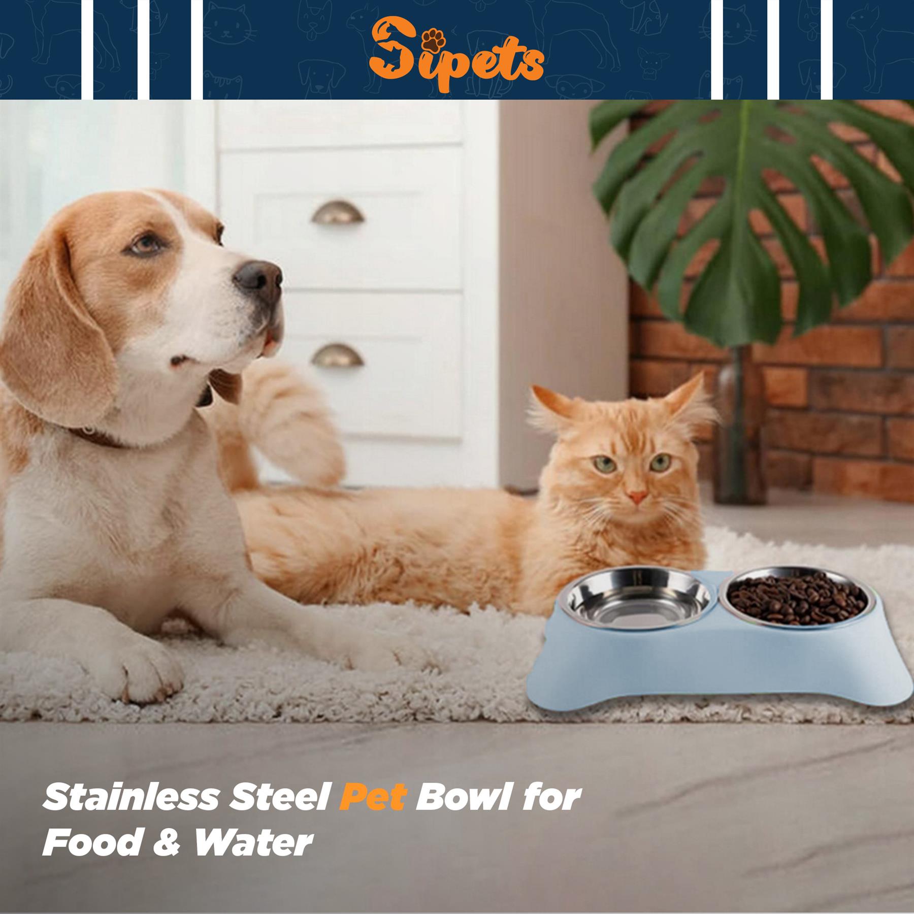 double dog bowl non slip stainless steel for food and water