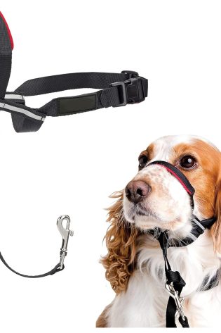 headcollar non pull dog head collar for training adjustable dog halter