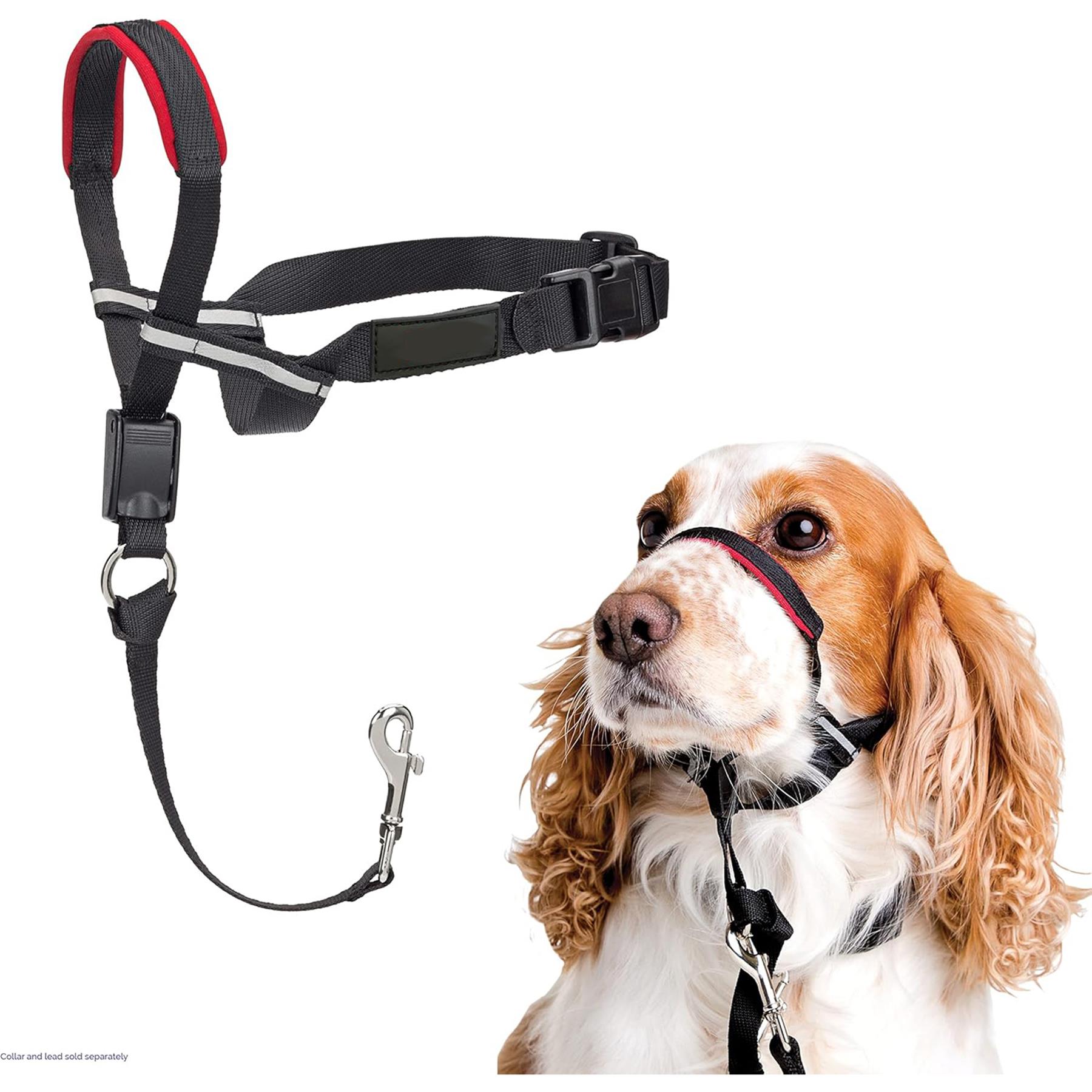 headcollar non pull dog head collar for training adjustable dog halter
