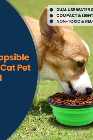 collapsible dog cat pet bowls food water feeding silicone portable travel