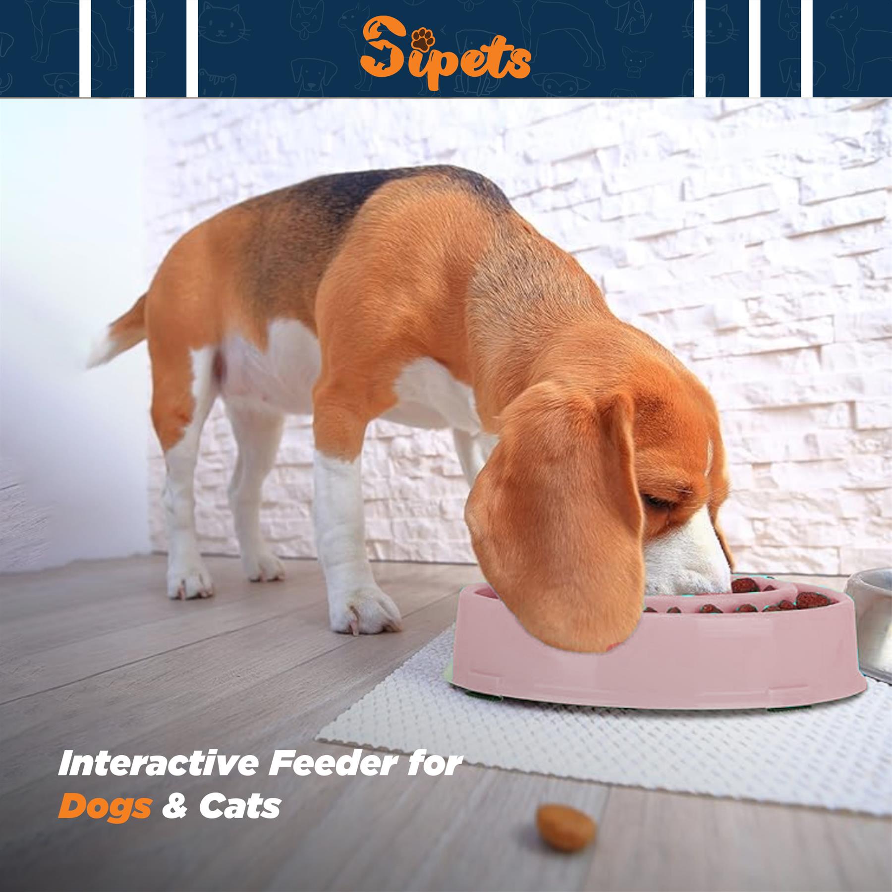 slow feeder dog bowl large pet anti bloat gulp interactive puppy cat feed dish