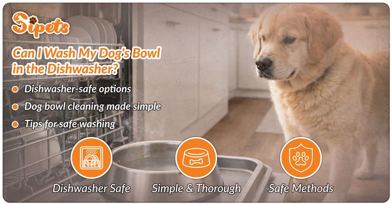 Dishwasher Safety for Dog Bowls