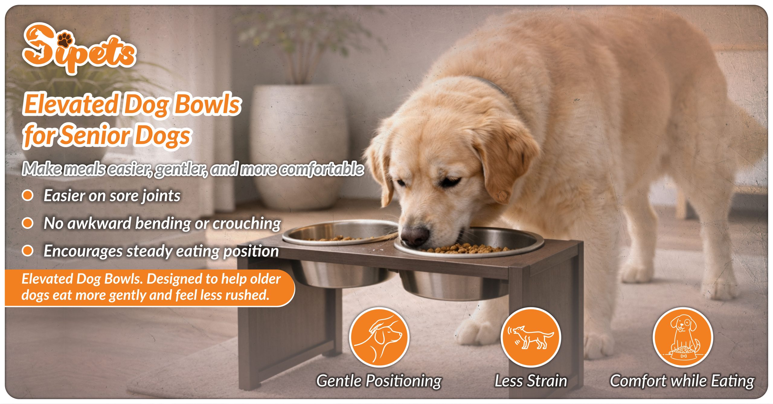 Elevated Dog Bowls for Senior Dogs