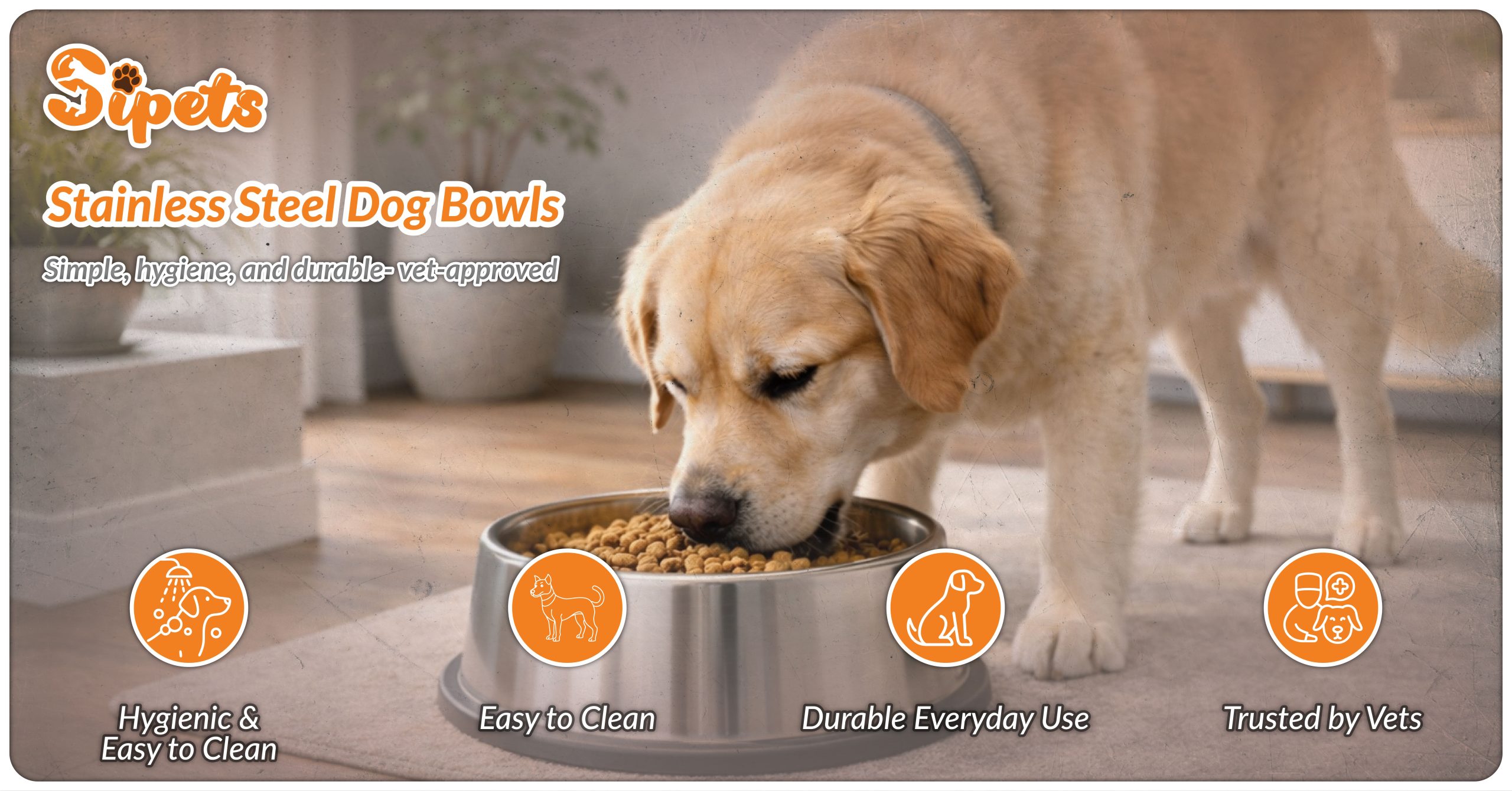 Stainless Steel Dog Bowls Benefits