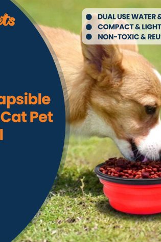 collapsible dog cat pet bowls food water feeding silicone portable travel