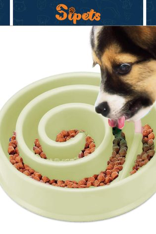 slow feeder dog bowl large pet anti bloat gulp interactive puppy cat feed dish