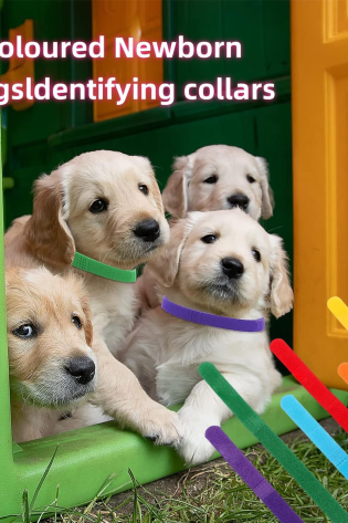 12pc assorted puppy id collar adjustable bands identification collarks