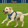 dog harness no pull for small medium large dogs anti pull strong and adjustable